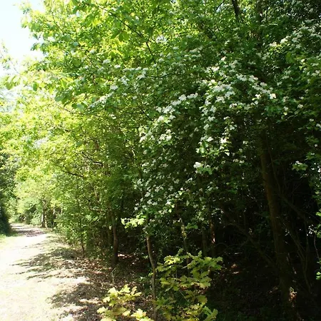 Gite Gites De France - L'Evasion * Criel-sur-Mer