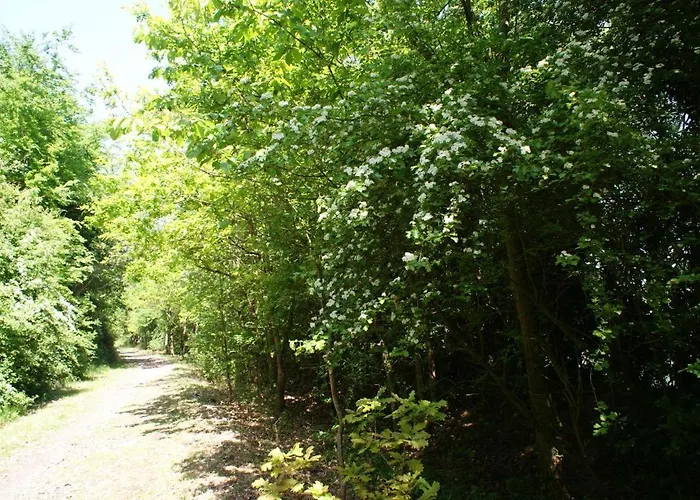 De France - L'evasion * Criel-sur-Mer